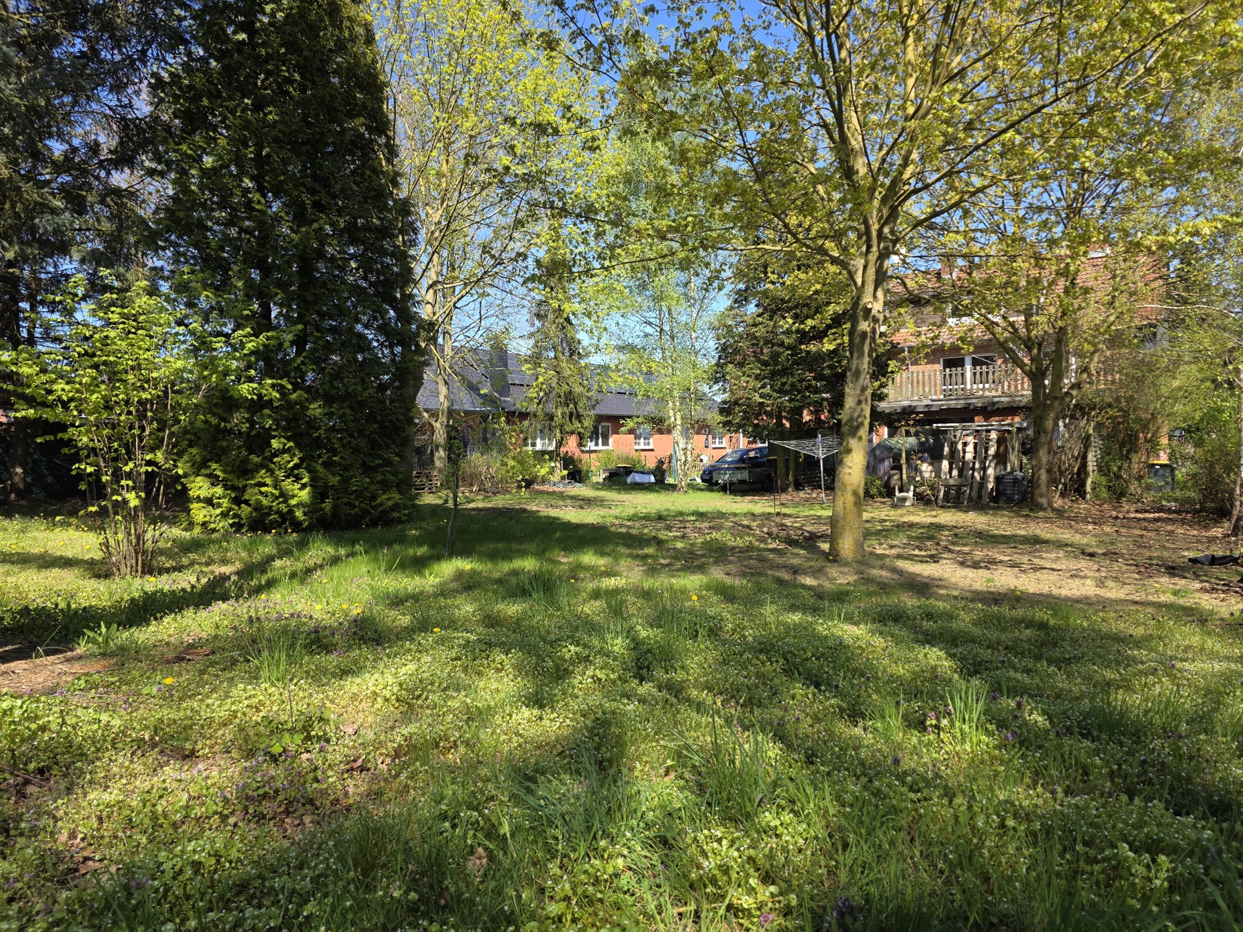 Grundstueck und Wald am Haus Schnega, Ansicht 4
