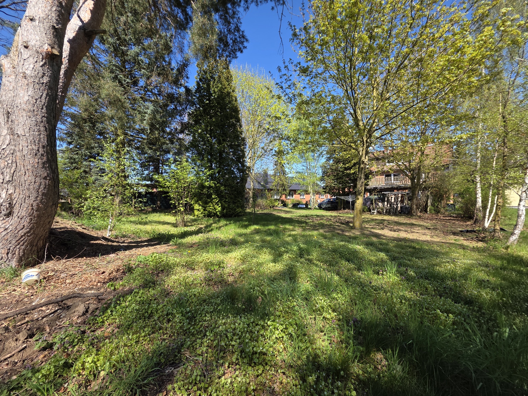 Grundstueck und Wald am Haus Schnega, Ansicht 5