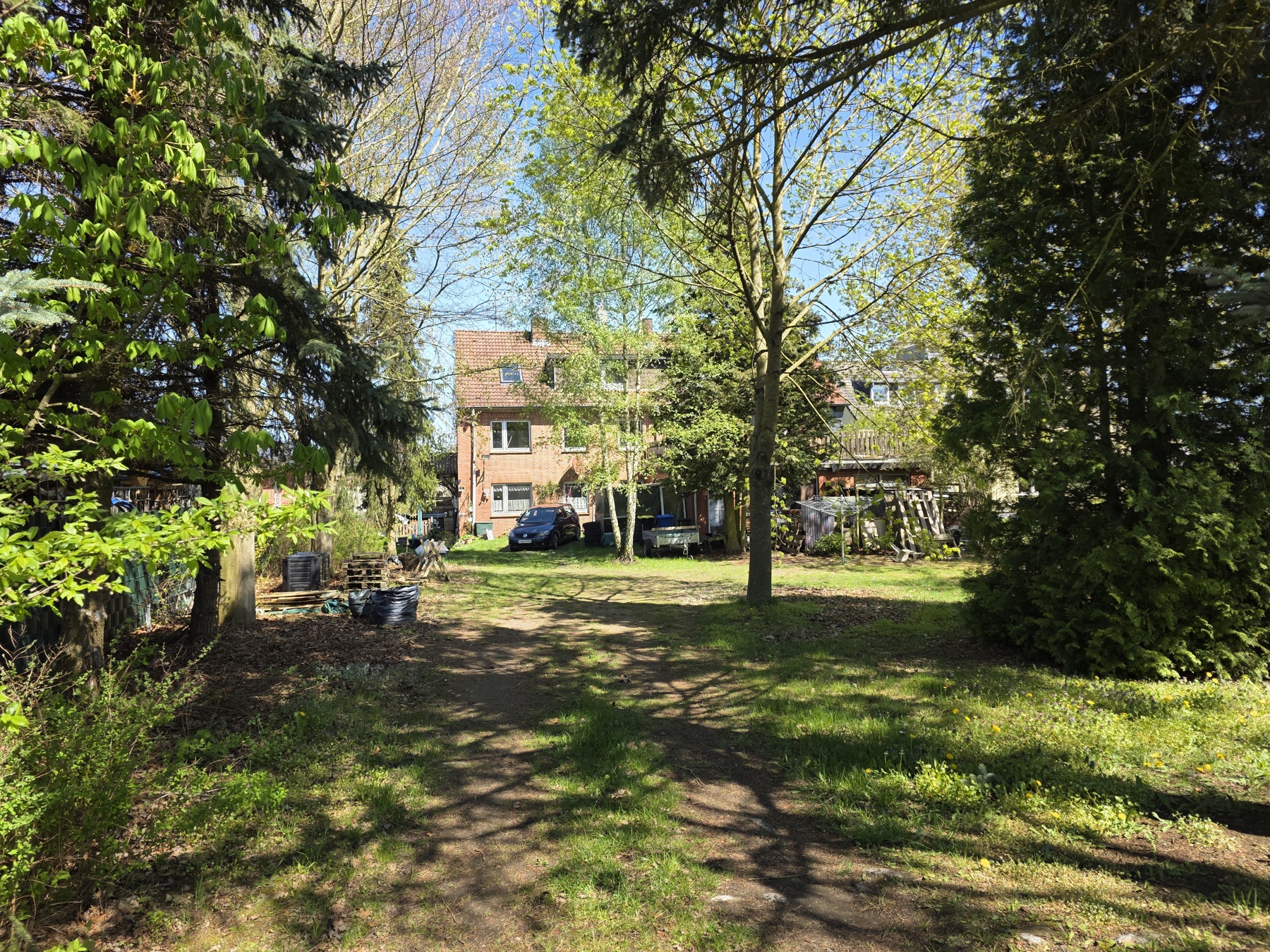 Grundstueck und Wald am Haus Schnega, Ansicht 6