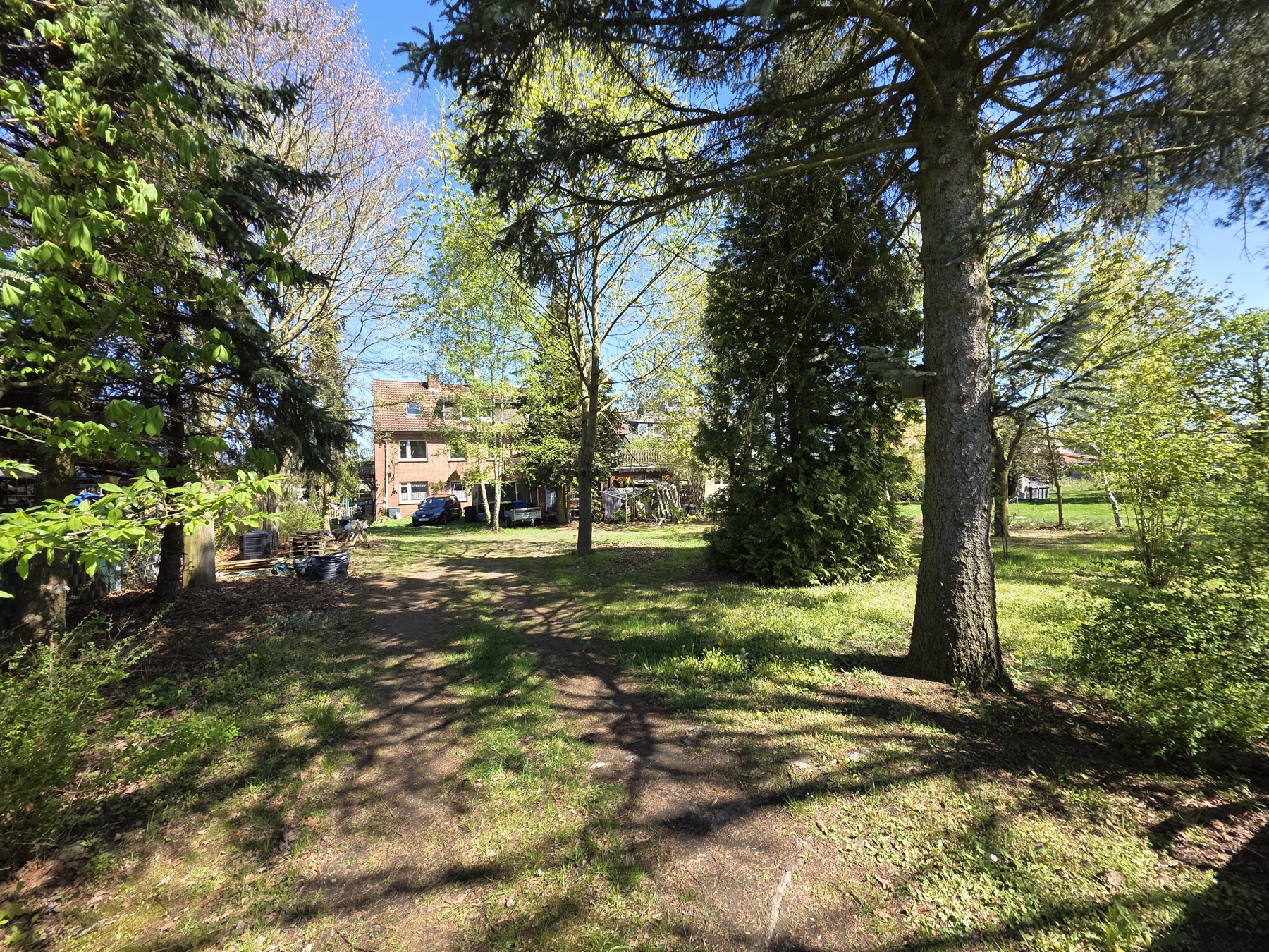 Grundstueck und Wald am Haus Schnega, Ansicht 7