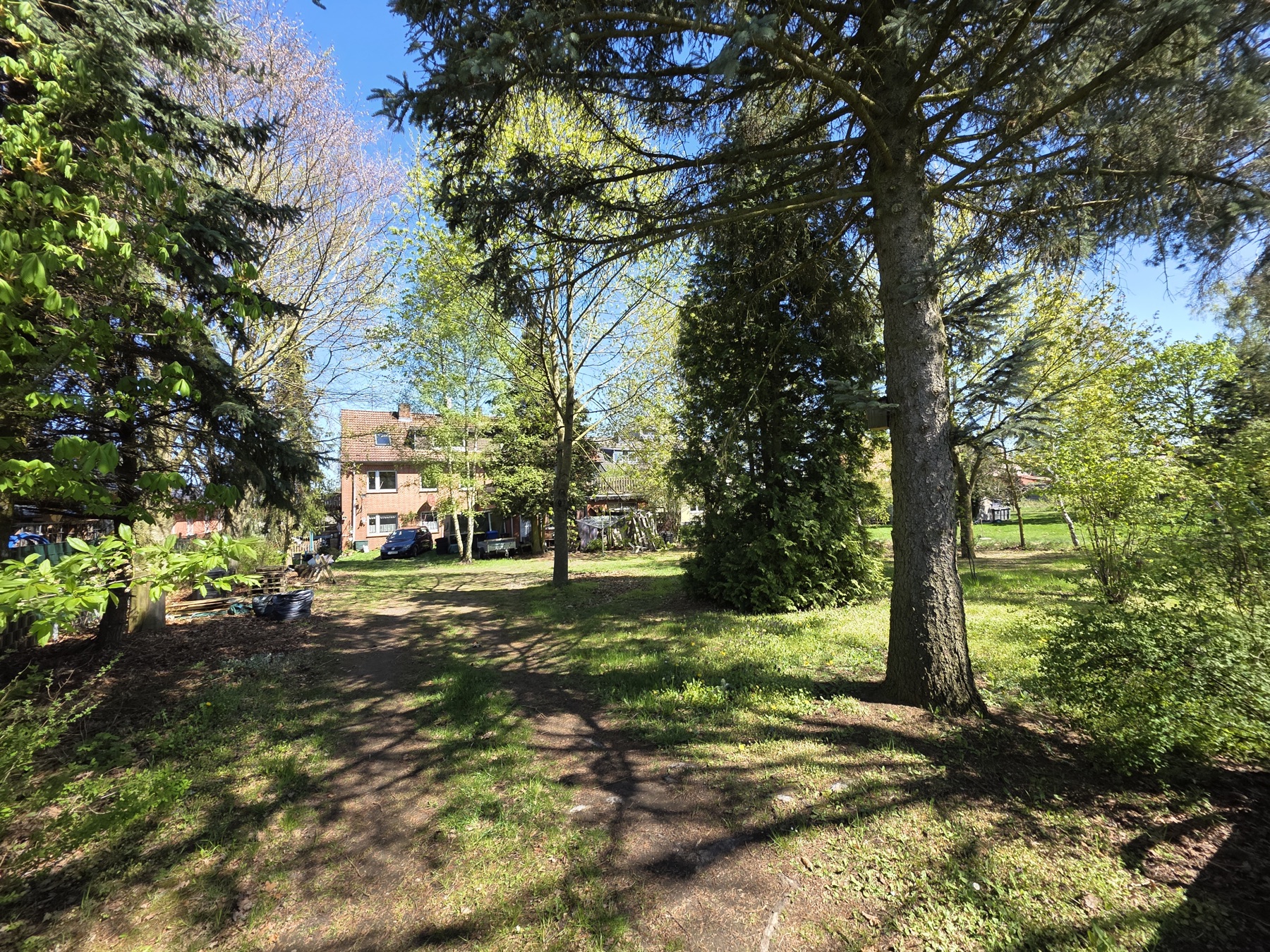 Grundstueck und Wald am Haus Schnega, Ansicht 8