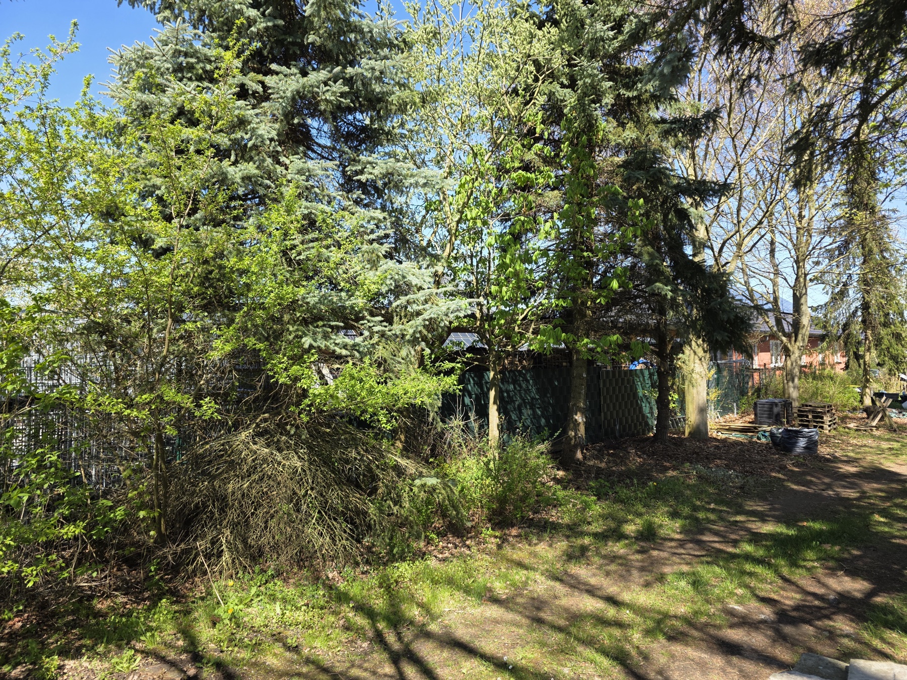 Grundstueck und Wald am Haus Schnega, Ansicht 10